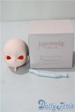 画像3: Harmoniabloom/root A-25-10-08-1084-NY-ZU