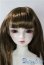 画像1: SD/フルチョイス:SDF-34ヘッド U-25-10-07-220-NY-ZU (1)