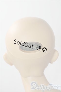 画像6: SD17男の子/レグルス 星間学寮Ver. U-25-10-07-219-TN-ZU