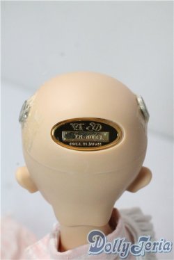 画像5: SDM/コーディネートモデル：F-60女の子 U-25-10-07-212-TN-ZU