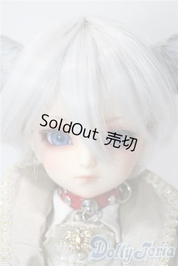 画像1: SDM男の子/フルチョイスF-75 U-25-10-07-211-TN-ZU