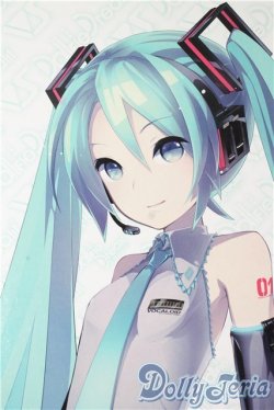画像1: DD/初音ミク A-25-10-08-1094-TN-ZU
