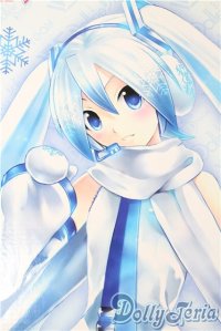 DD/雪ミク A-25-10-08-1095-TN-ZU