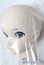画像4: DDB/KAITO A-25-10-08-1099-TN-ZU