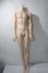画像2: LUTS/Super Senior Delf BOY Superior Body Muscle A-25-10-15-1095-TN-ZU (2)