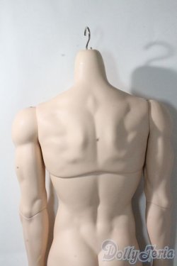 画像5: LUTS/Super Senior Delf BOY Superior Body Muscle A-25-10-15-1095-TN-ZU