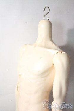 画像5: LUTS/Super Senior Delf Superior Body A-25-10-15-1094-TN-ZU