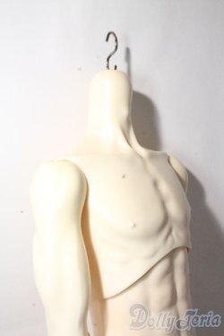 画像6: LUTS/Super Senior Delf Superior Body A-25-10-15-1094-TN-ZU