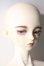 画像2: LUTS/Senior Delf Muse LENNON Romance ver A-25-10-15-1093-TN-ZU (2)