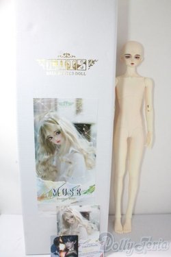 画像9: LUTS/Senior Delf Muse LENNON Romance ver A-25-10-15-1093-TN-ZU