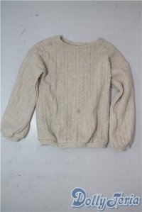 SD17B/OF:トップス U-25-10-14-139-TN-ZU