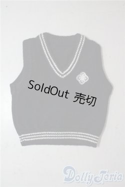 画像1: SD/OF:トップス U-25-10-14-162-TN-ZU