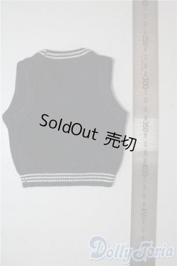 画像2: SD/OF:トップス U-25-10-14-162-TN-ZU