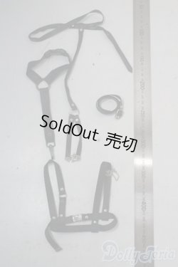 画像2: SD/OF:小物 U-25-10-21-201-TN-ZU