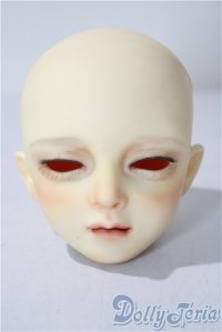 SD/DWC ♯05 ヘッド U-25-12-17-215-TN-ZU