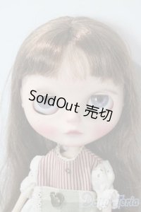 ネオブライス/yudoll様カスタム A-25-10-29-1097-TN-ZU