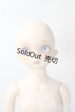 画像4: SDMGIRL/コーディネイトモデル:F-60 U-25-10-14-216-TN-ZU