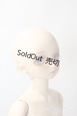 画像6: SDMGIRL/コーディネイトモデル:F-60 U-25-10-14-216-TN-ZU