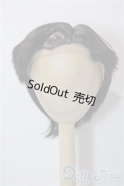 画像1: 9-10inch/ウィッグ U-25-12-24-055-TN-ZU