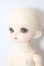 画像3: 幼SD/メル U-25-10-21-217-TN-ZU