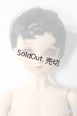 画像1: SDBOY/F-81ヘッド:フルチョイス U-25-10-21-218-TN-ZU