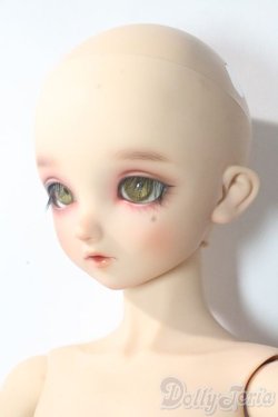 画像2: SDBOY/F-94ヘッド:フルチョイス U-25-10-21-218-TN-ZU