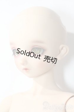 画像2: SDBOY/F-81ヘッド:フルチョイス U-25-10-21-218-TN-ZU