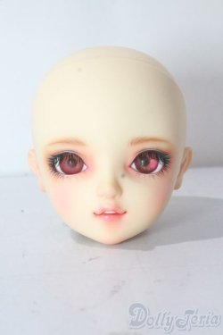 画像1: SDGrG/SDGr/ルチア 2nd(アンティークスタイリストver):ヘッドのみ U-25-10-21-212-TN-ZU