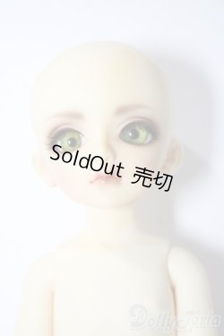 画像1: 幼SD/ピッコロ　クラウンド ホワイト キング U-25-11-05-211-TN-ZU