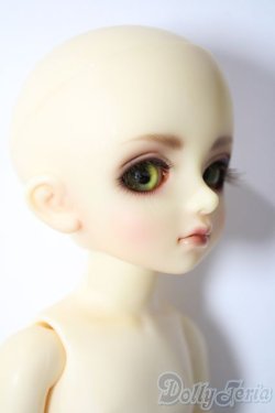 画像3: 幼SD/ピッコロ　クラウンド ホワイト キング U-25-11-05-211-TN-ZU