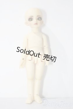 画像4: 幼SD/ピッコロ　クラウンド ホワイト キング U-25-11-05-211-TN-ZU