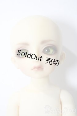 画像7: 幼SD/ピッコロ　クラウンド ホワイト キング U-25-11-05-211-TN-ZU