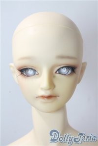 SDGrB/フルチョイスF-41 U-25-10-28-220-TN-ZU