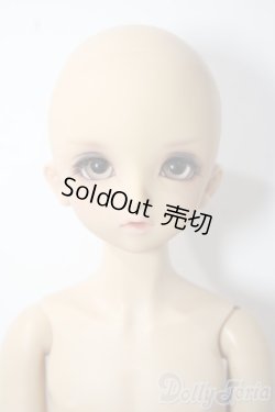 画像1: SDM/フルチョイス:F-33 U-25-11-05-215-TN-ZU