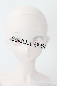 DDdy/ドリームチョイス DC-H-24ヘッド A-25-10-29-1100-TN-ZU