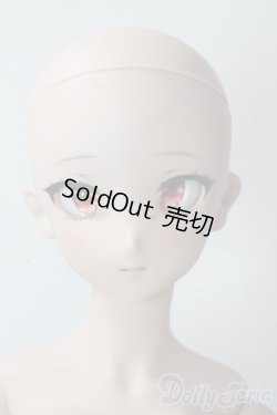 画像1: DDdy/ドリームチョイス DC-H-24ヘッド A-25-10-29-1100-TN-ZU