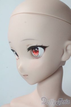 画像3: DDdy/ドリームチョイス DC-H-24ヘッド A-25-10-29-1100-TN-ZU