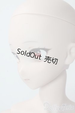 画像3: DDdy/ドリームチョイス DC-H-24ヘッド A-25-10-29-1100-TN-ZU