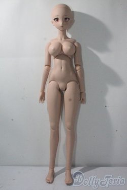 画像4: DDdy/ドリームチョイス DC-H-24ヘッド A-25-10-29-1100-TN-ZU