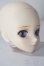 画像2: DOLLCEDOLL/DC60-03　カスタムヘッド A-25-10-29-1094-TN-ZU (2)