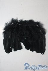 SD13G/OF:小物 U-25-10-28-148-TN-ZU