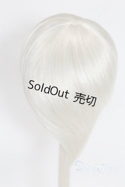 画像2: 9-10inch/ウィッグ U-25-10-21-247-TN-ZU