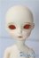画像1: imda3.0/amellia A-25-10-22-1095-TN-ZU (1)