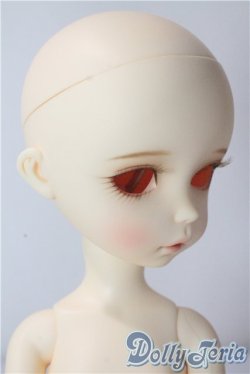 画像2: imda3.0/amellia A-25-10-22-1095-TN-ZU