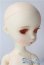 画像2: imda3.0/amellia A-25-10-22-1095-TN-ZU (2)