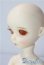 画像3: imda3.0/amellia A-25-10-22-1095-TN-ZU