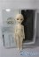 画像6: imda3.0/amellia A-25-10-22-1095-TN-ZU