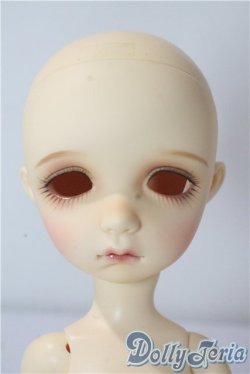 画像1: imda3.0/colette A-25-10-22-1096-TN-ZU