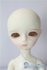 iMdadoll/iMda3.0　Modigli A-25-10-22-1094-TN-ZU