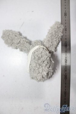 画像2: SDM＆MSD/OF:小物 U-25-11-05-150-TN-ZU